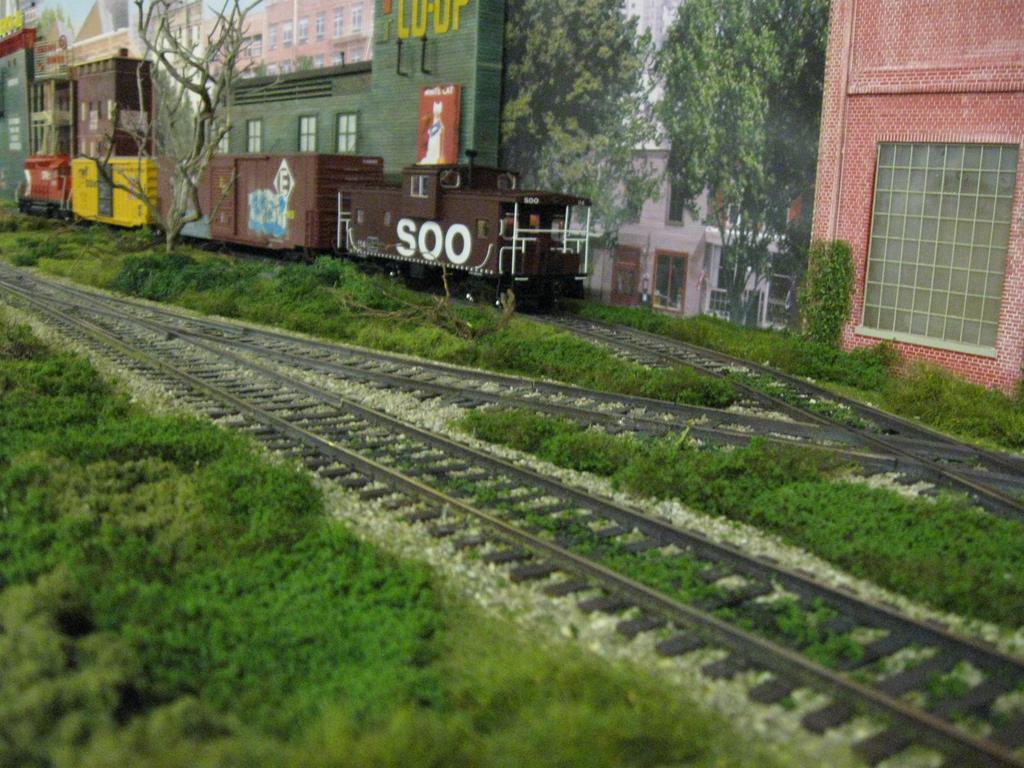 Üppiges Grün wächst an den Ladegleisen Üppiges Grün wächst an den Ladegleisen