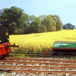 Rangieren vor sommerlicher Kulisse auf der märkischen Kleinbahn