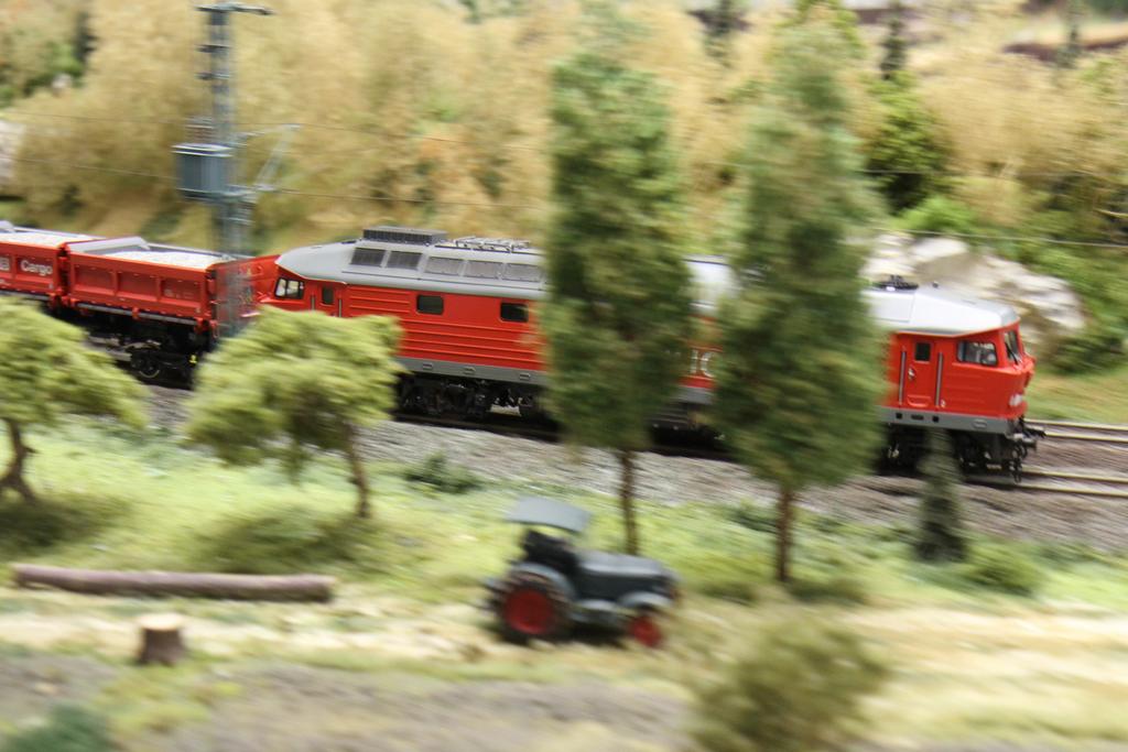 Die Ludmilla rauscht zwischen den Bäumen durch. Die Ludmilla rauscht zwischen den Bäumen durch.