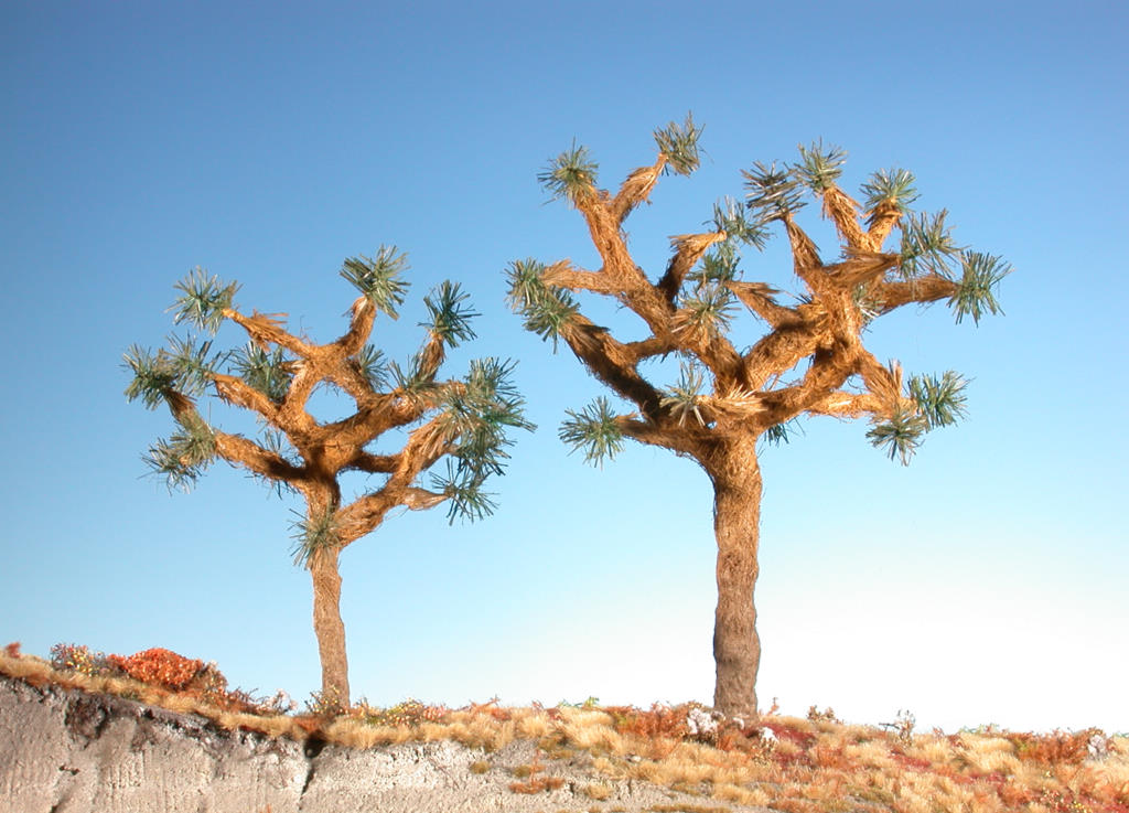 Wüstenbäume Joshua Tree von Silhouette