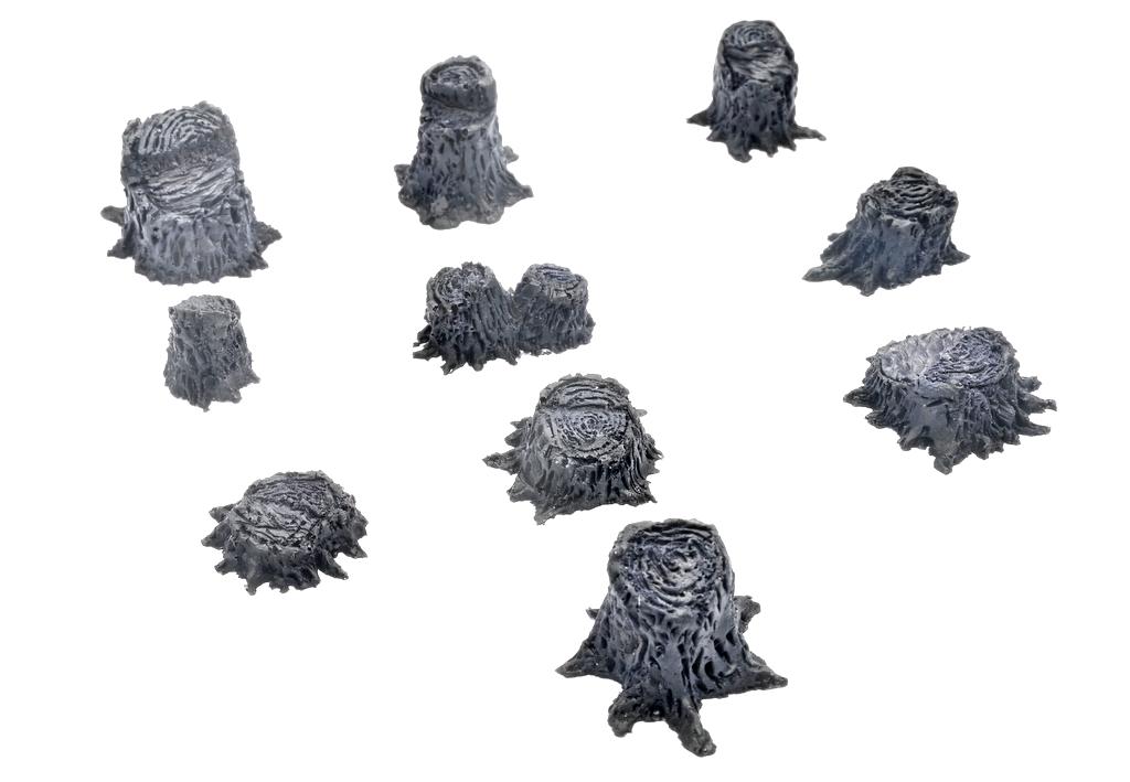 Steffen Reinhold Baumstümpfe